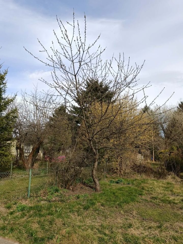 Działka rod Warszawa Białołęka. Zdjęcie 3