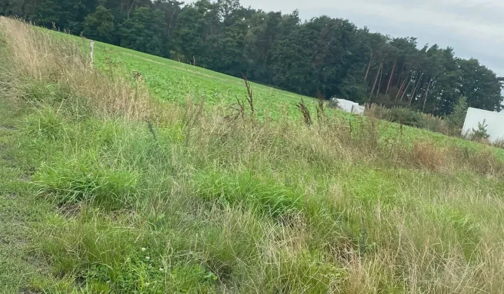 Działka budowlana Elżbieciny