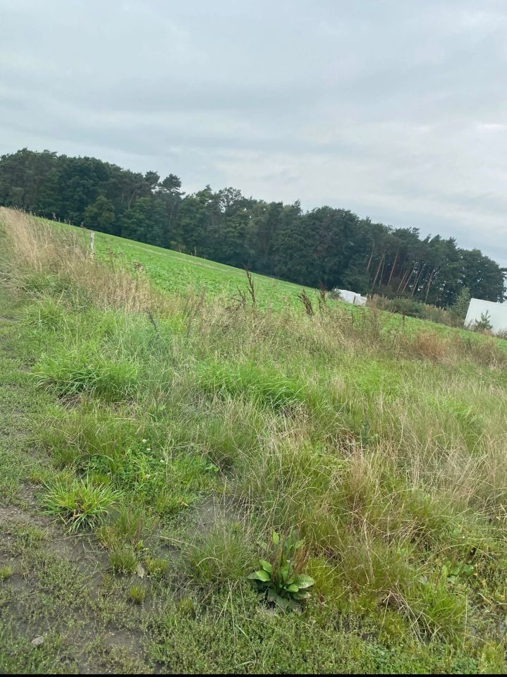 Działka budowlana Elżbieciny. Zdjęcie 1