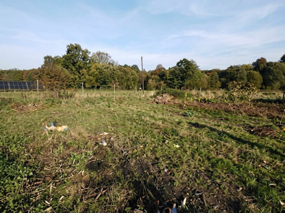 Działka budowlana Hajduki Nyskie. Zdjęcie 1