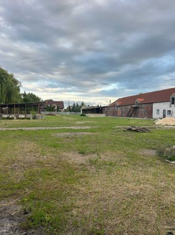 Działka inwestycyjna Pątnówek. Zdjęcie 1