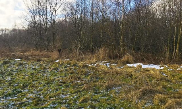 Działka budowlana Tuszynek Majoracki, ul. Hetmańska. Zdjęcie 1