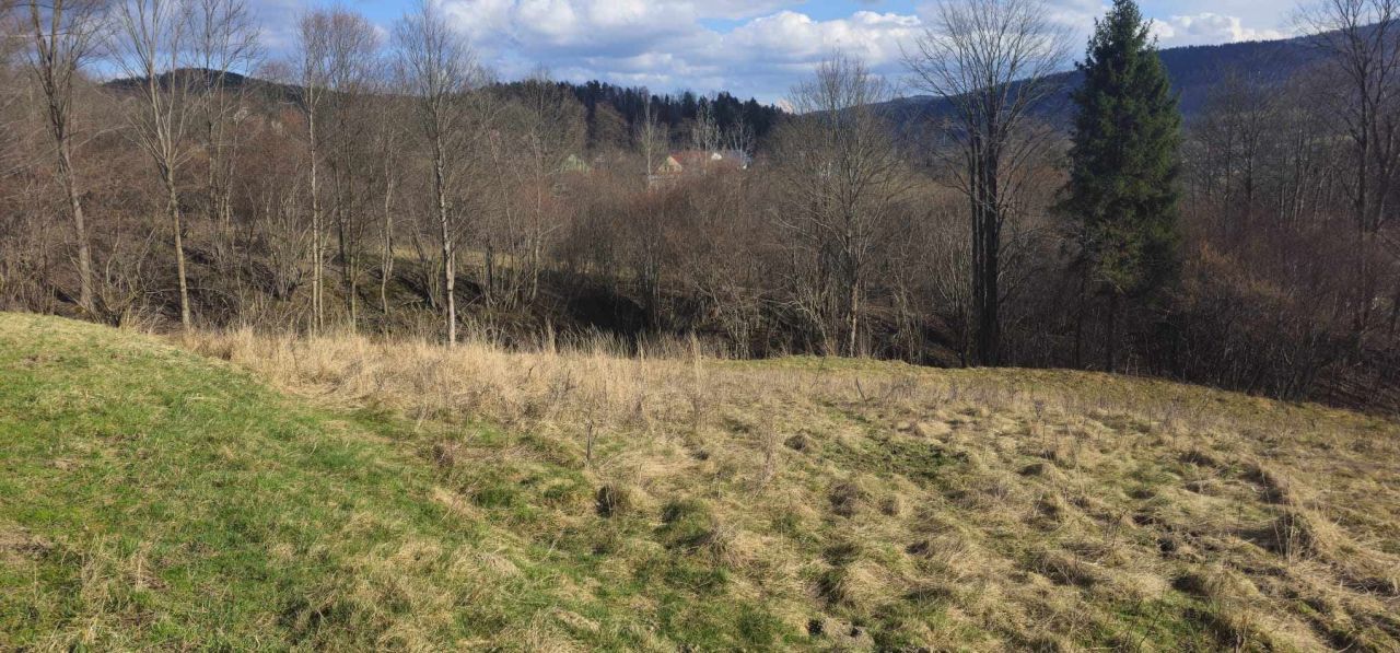 Działka budowlana Stryszawa Ićki. Zdjęcie 16