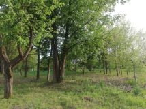 Działka budowlana Wola Rafałowska, ul. Dębowa. Zdjęcie 2