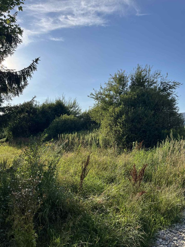 Działka budowlana Boduszyn. Zdjęcie 2