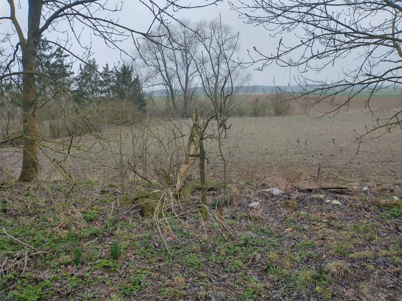 bliźniak Rybowo. Zdjęcie 2