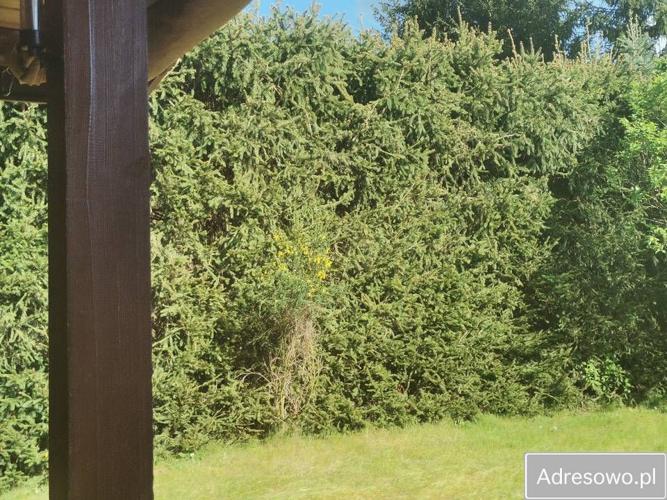 Działka rod Kamieńczyk, ul. Kukawska. Zdjęcie 7