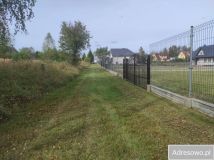 Działka budowlana Płaska. Zdjęcie 3