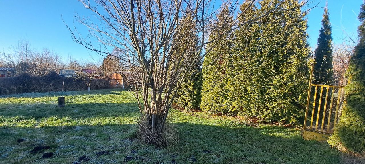 Działka rod Szczecin Centrum. Zdjęcie 6