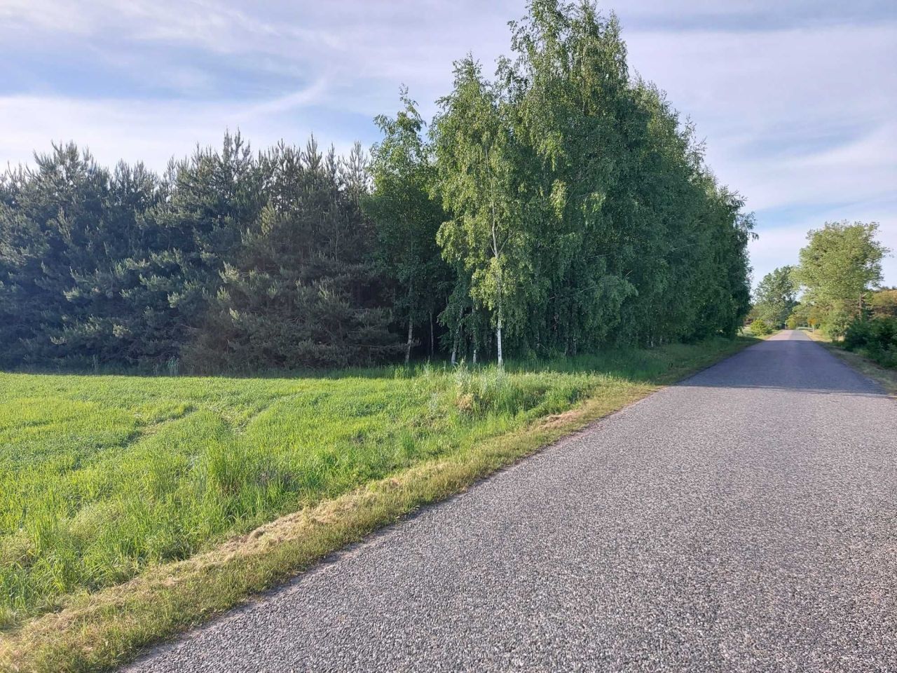 Działka leśna Zakrzewo-Parcele. Zdjęcie 4