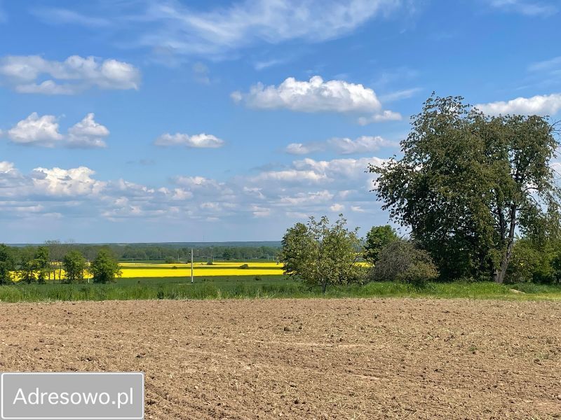 Działka rolno-budowlana Dobroszów. Zdjęcie 2