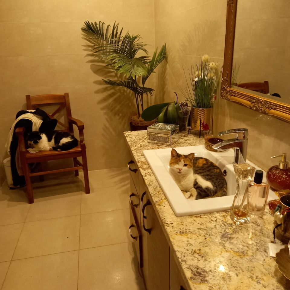 dom wolnostojący, 5 pokoi Gorlice Zawodzie. Zdjęcie 23