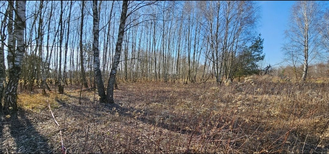 Działka budowlana Zagościniec, ul. Tramwajowa. Zdjęcie 7