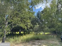 Działka budowlana Miłoszyce, ul. Azaliowa. Zdjęcie 2