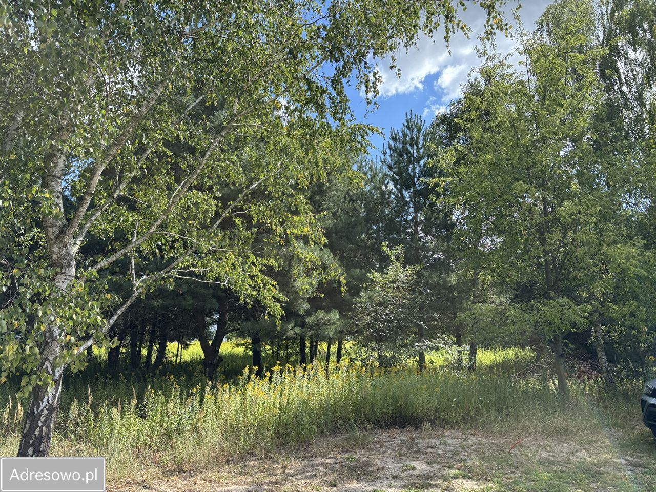 Działka budowlana Miłoszyce, ul. Azaliowa. Zdjęcie 3