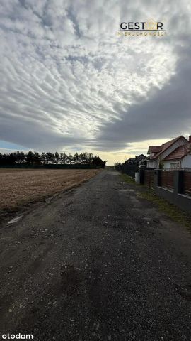 Działka budowlana Uciechów, ul. Bławatna. Zdjęcie 5