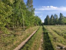 Działka budowlana Szumlin. Zdjęcie 3