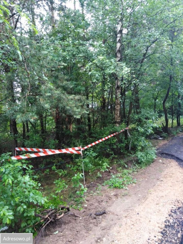 Działka rolna Siwiki. Zdjęcie 11