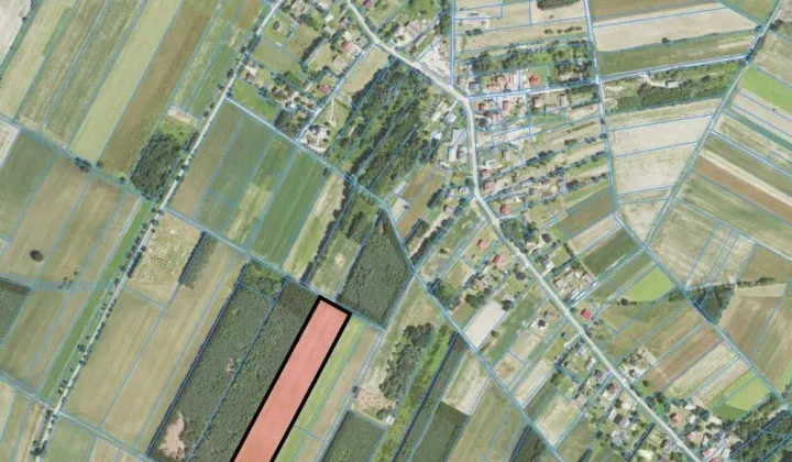 Działka rolna Cetula