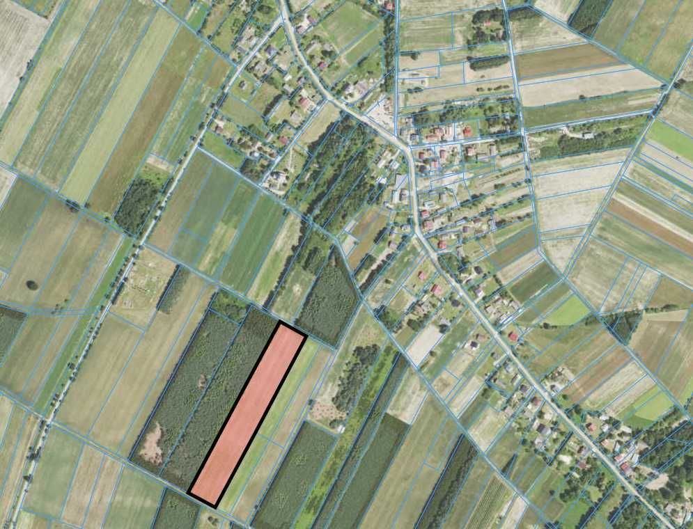 Działka rolna Cetula