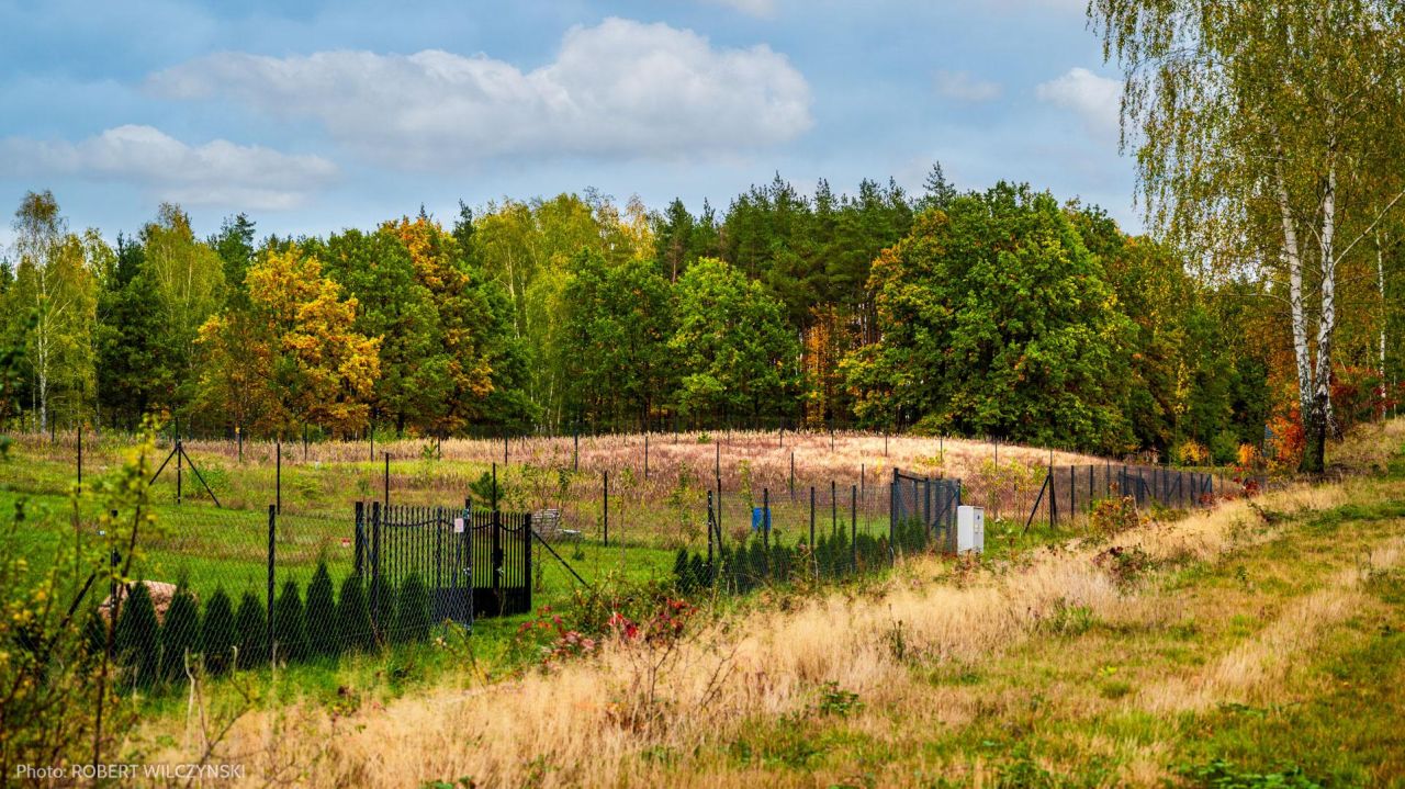 Działka budowlana Jeziórka. Zdjęcie 14