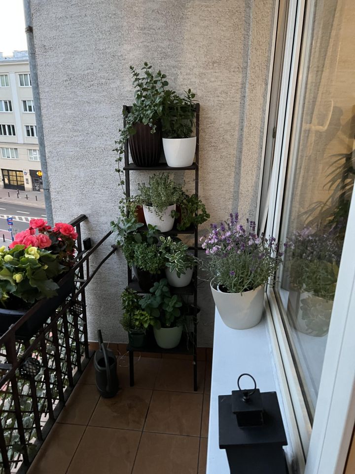 Mieszkanie 2-pokojowe Warszawa Śródmieście, ul. Solec. Zdjęcie 3