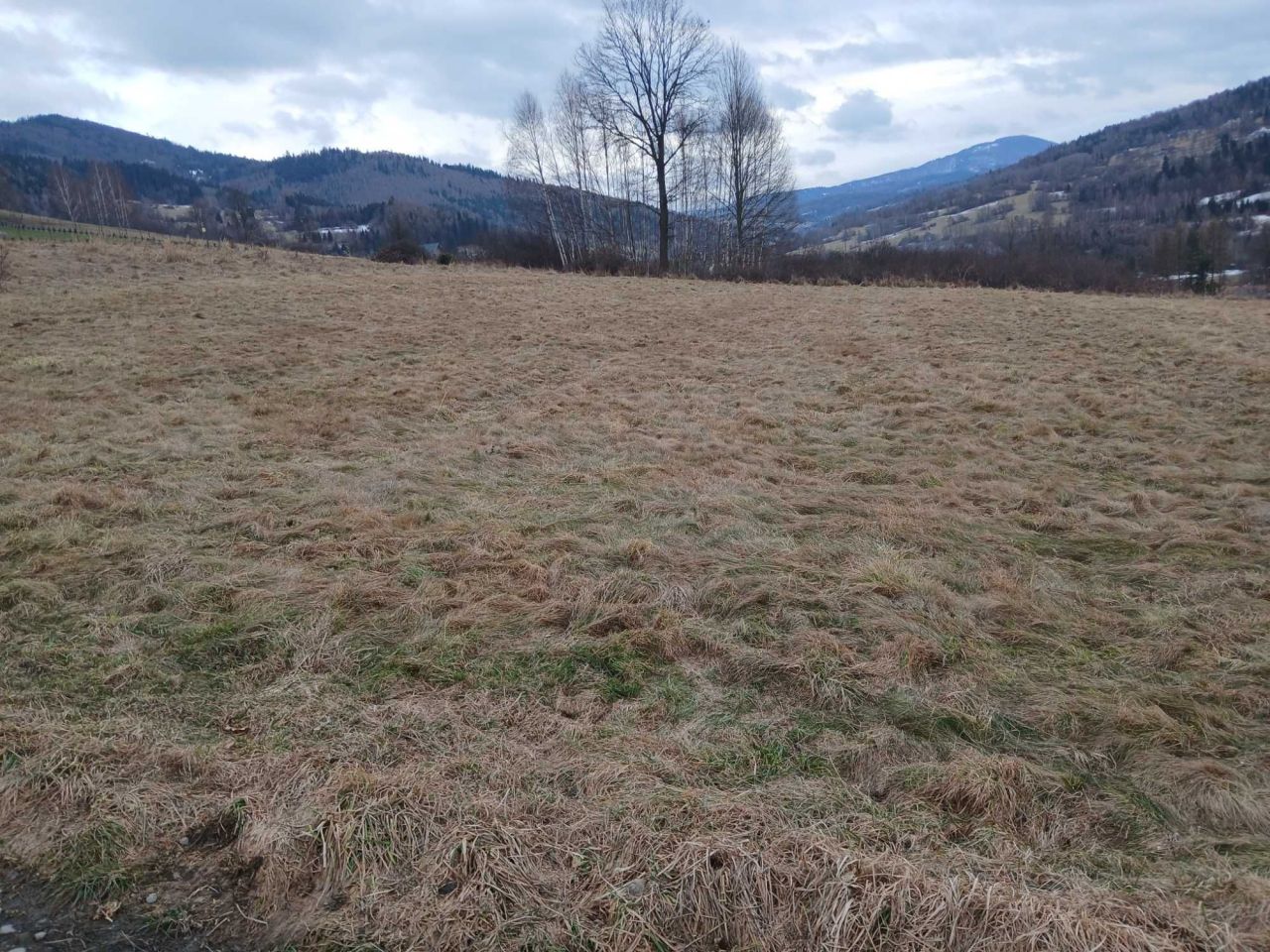 Działka budowlana Milówka, ul. Widokowa. Zdjęcie 1