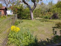 Działka rod Wrocław Krzyki, ul. Spiska. Zdjęcie 2