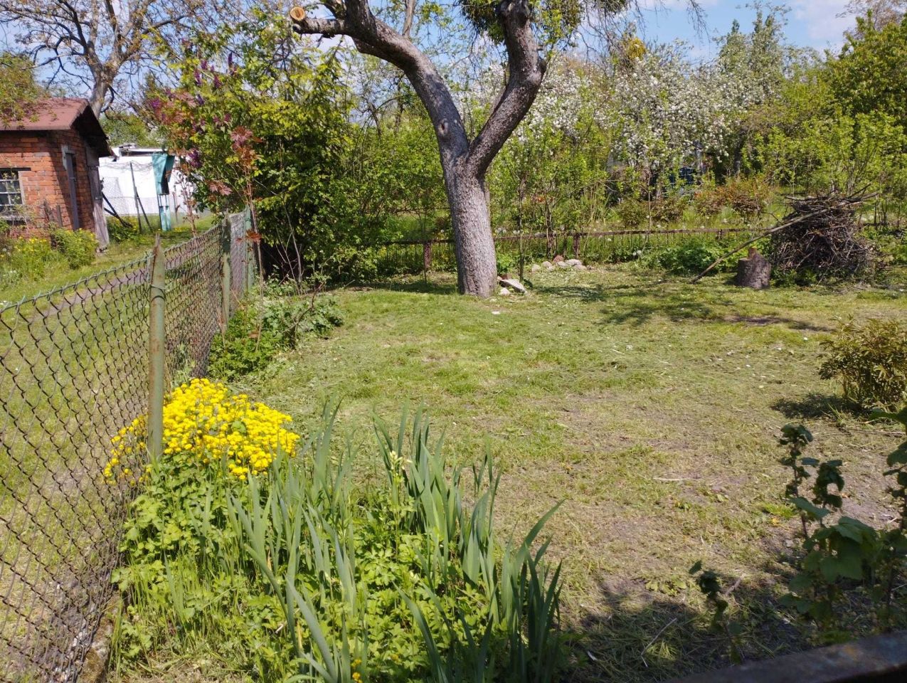 Działka rod Wrocław Krzyki, ul. Spiska. Zdjęcie 3