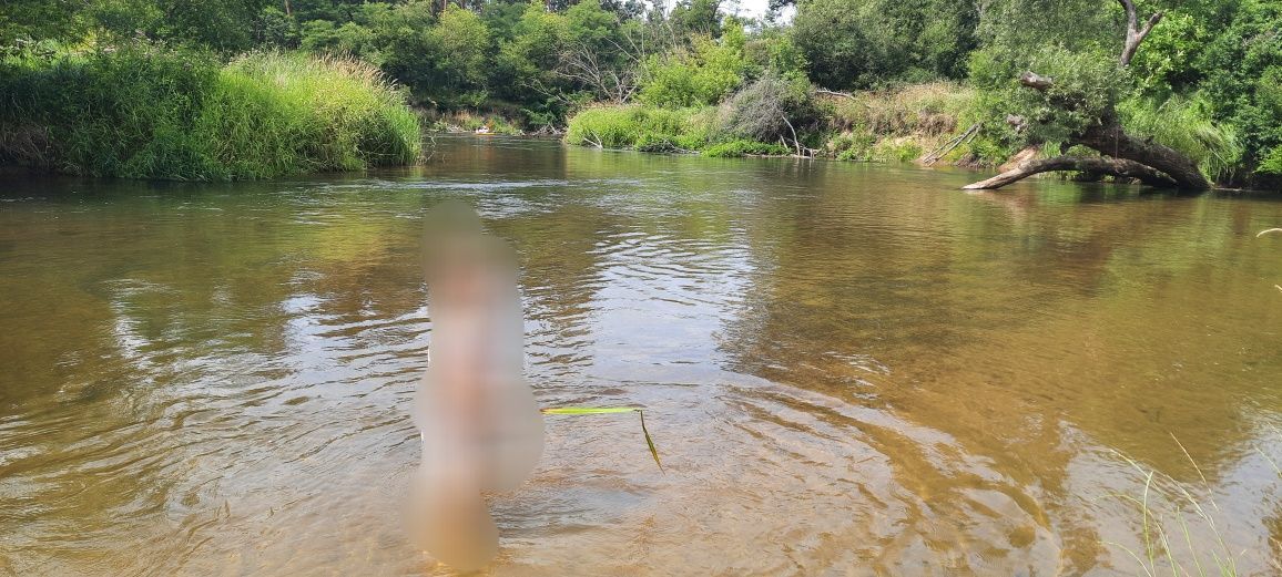 Działka rekreacyjna Rembieszów. Zdjęcie 6