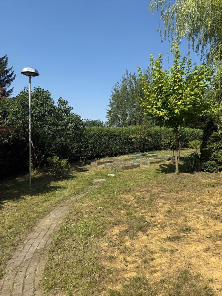 Działka rod Bytom. Zdjęcie 7