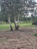 Działka budowlana Opole Lubelskie Janiszkowice. Zdjęcie 2