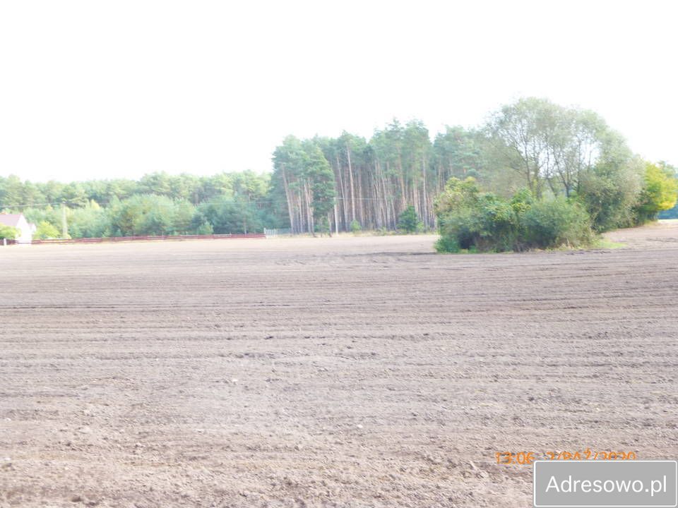 Działka rolna Cegielnia. Zdjęcie 9