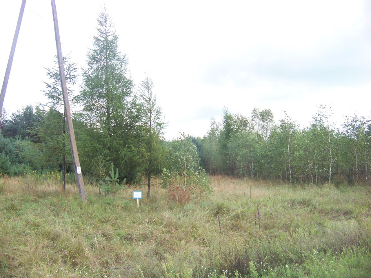 Działka rolna Mogielnica. Zdjęcie 2