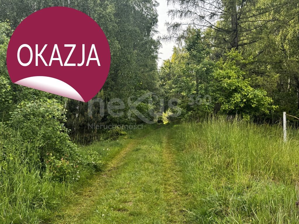 Działka budowlana Sądrożyce. Zdjęcie 10