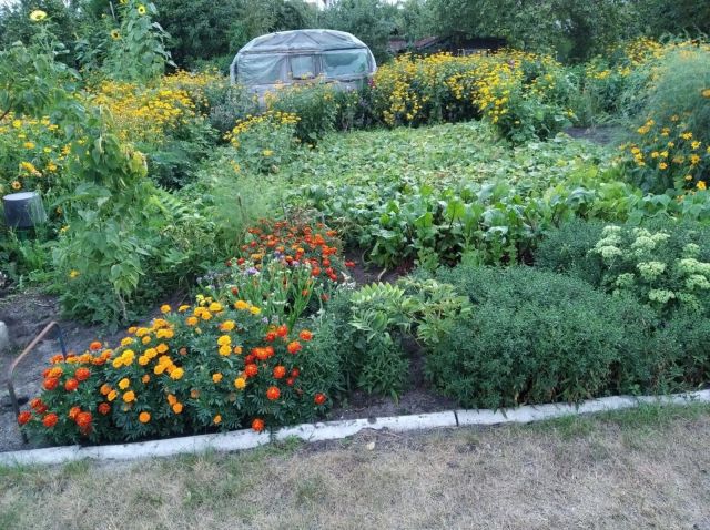 Działka rekreacyjna Szczecinek, ul. Słupska. Zdjęcie 1