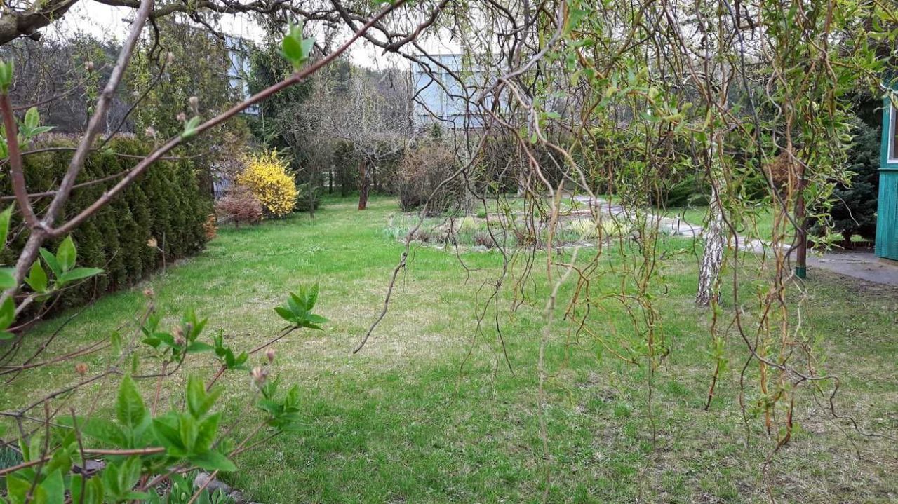 Działka rod Warszawa Targówek, ul. Odrowąża. Zdjęcie 6