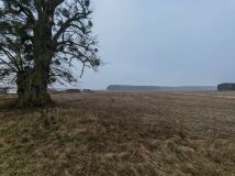 Działka budowlana Pszczółczyn. Zdjęcie 4