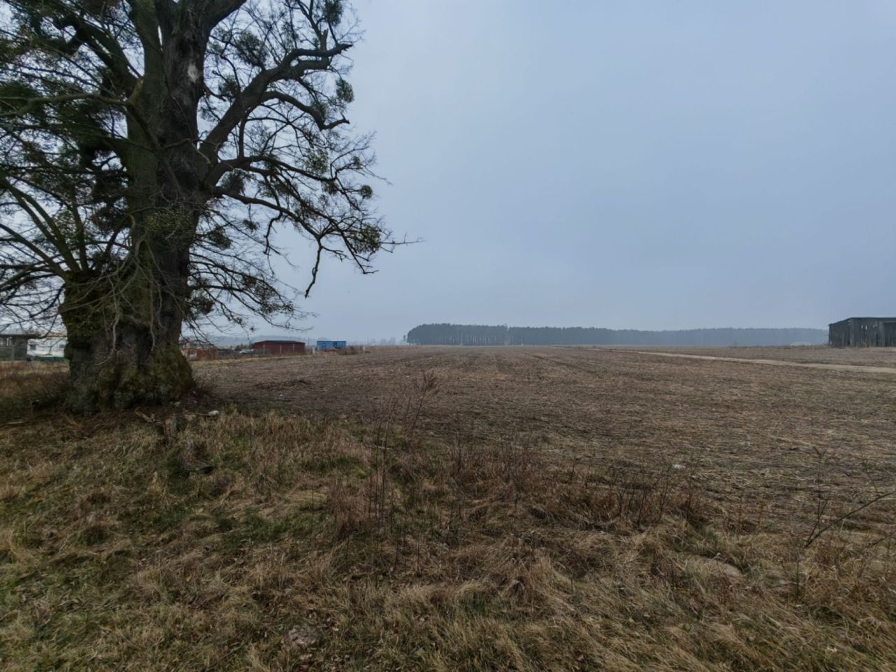 Działka budowlana Pszczółczyn. Zdjęcie 5