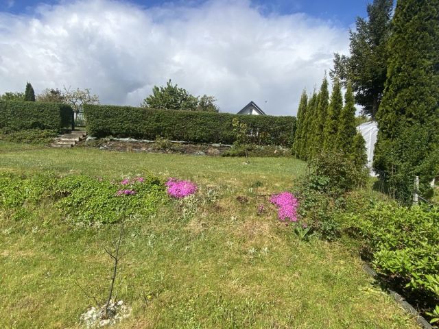 Działka rekreacyjna Straszyn. Zdjęcie 1