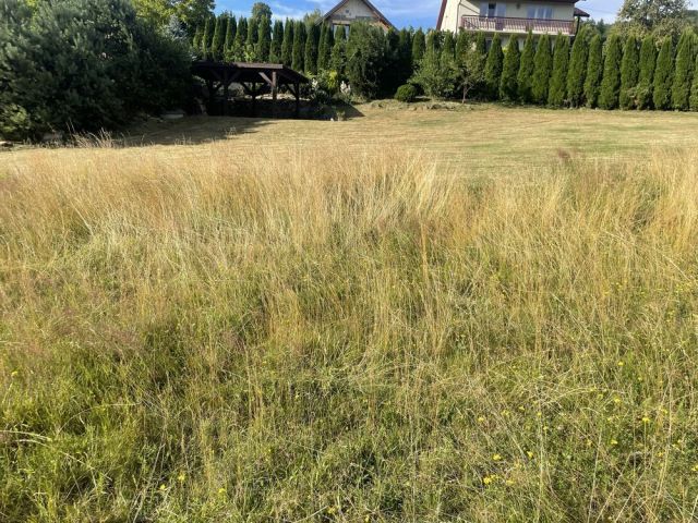 Działka budowlana Gródek nad Dunajcem. Zdjęcie 1