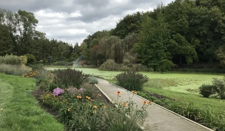 Mieszkanie 2-pokojowe Przelewice