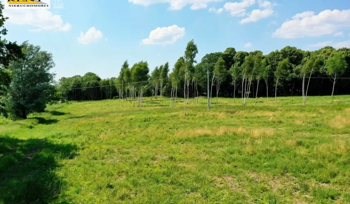 Działka inwestycyjna Ninikowo