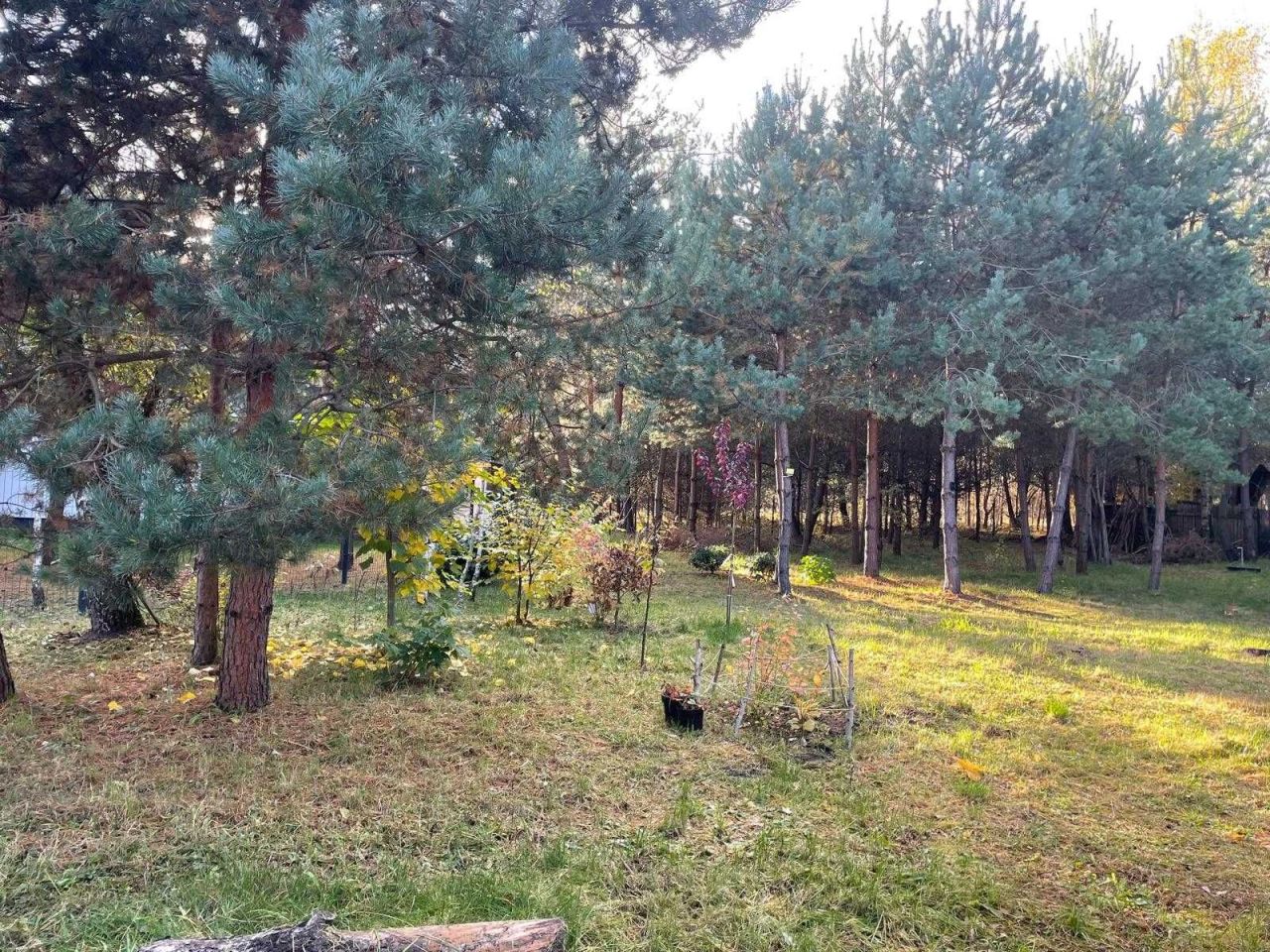 Działka budowlana Czerniewo. Zdjęcie 3