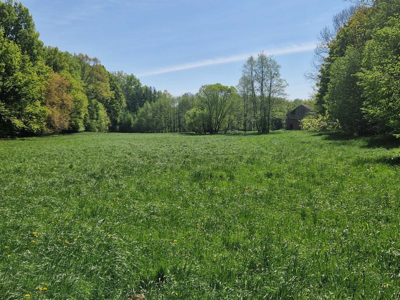 Działka budowlana Rudziczka. Zdjęcie 5