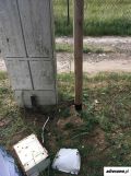 Działka rod Toruń, ul. Poznańska. Zdjęcie 4