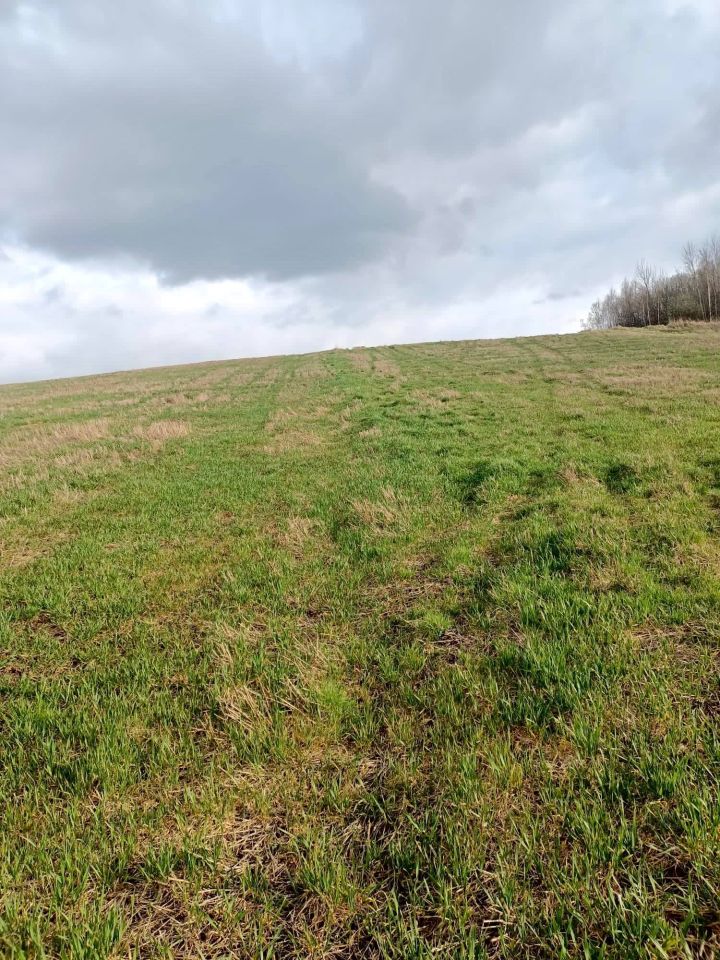 Działka rolna Niechobrz. Zdjęcie 3