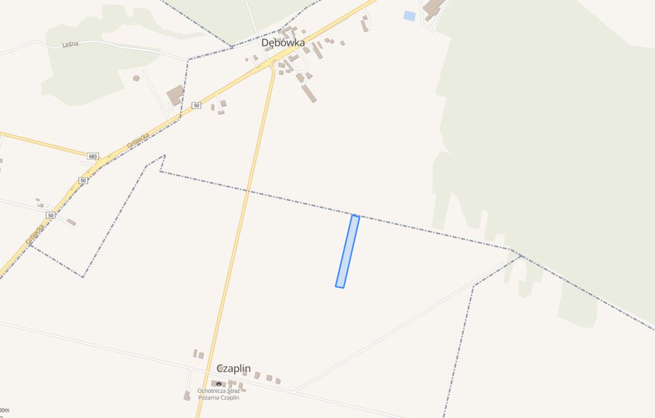 Działka rolna Czaplin. Zdjęcie 3
