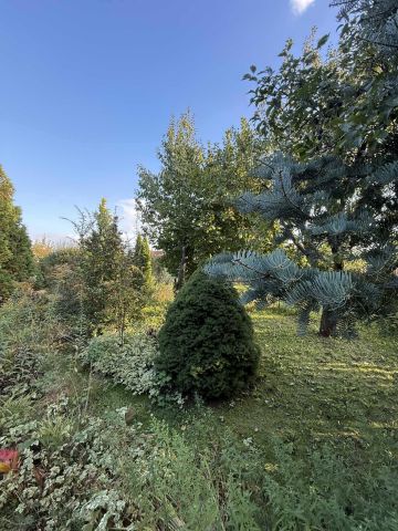 Działka rod Bełchatów. Zdjęcie 1