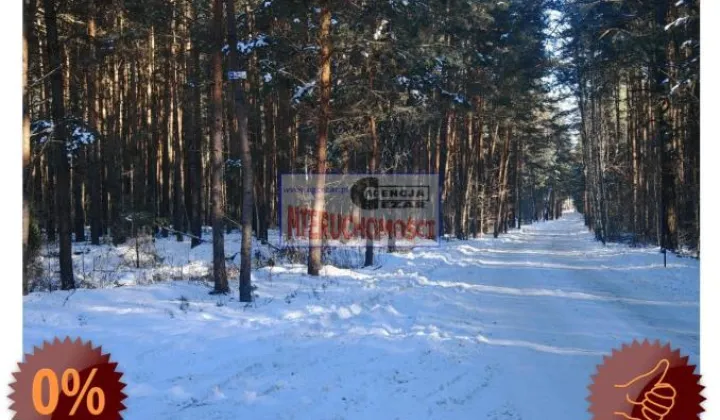 Działka leśna Tartak, Azaliowa